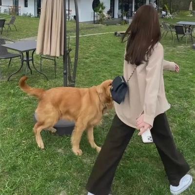 星蝶公主第三季