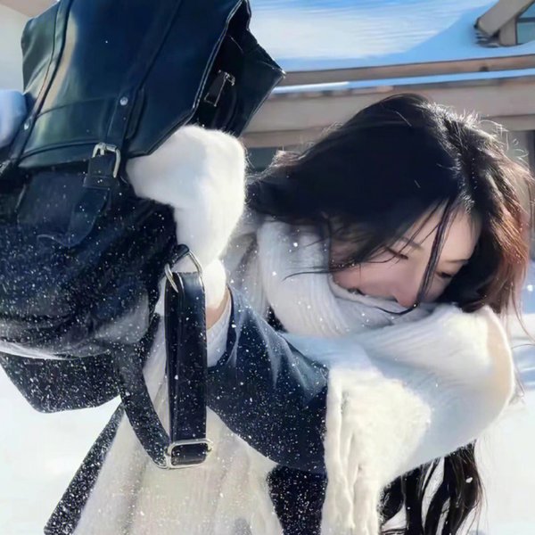黉宫双燕
